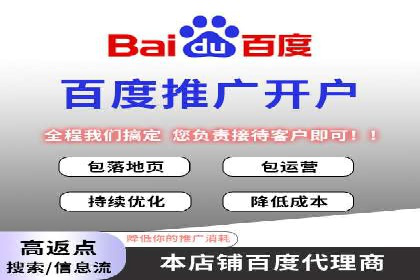 搜索引擎优化（SEO）在百度上的应用案例研究